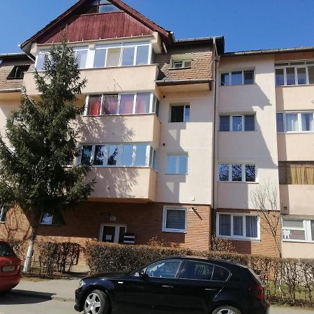 Studio Acasa Sibiu Buitenkant foto