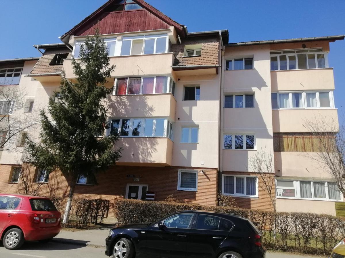 Studio Acasa Sibiu Buitenkant foto